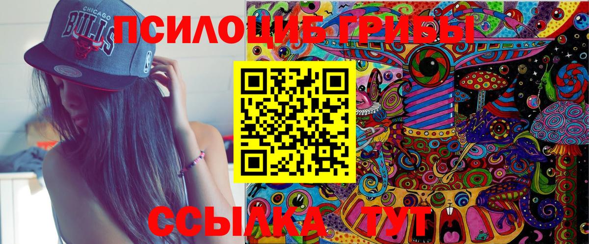 Галлюциногенные грибы Psilocybine cubensis  цены   Галлюциногенные грибы Psilocybine cubensis  Куйбышев  Вход с VPN 