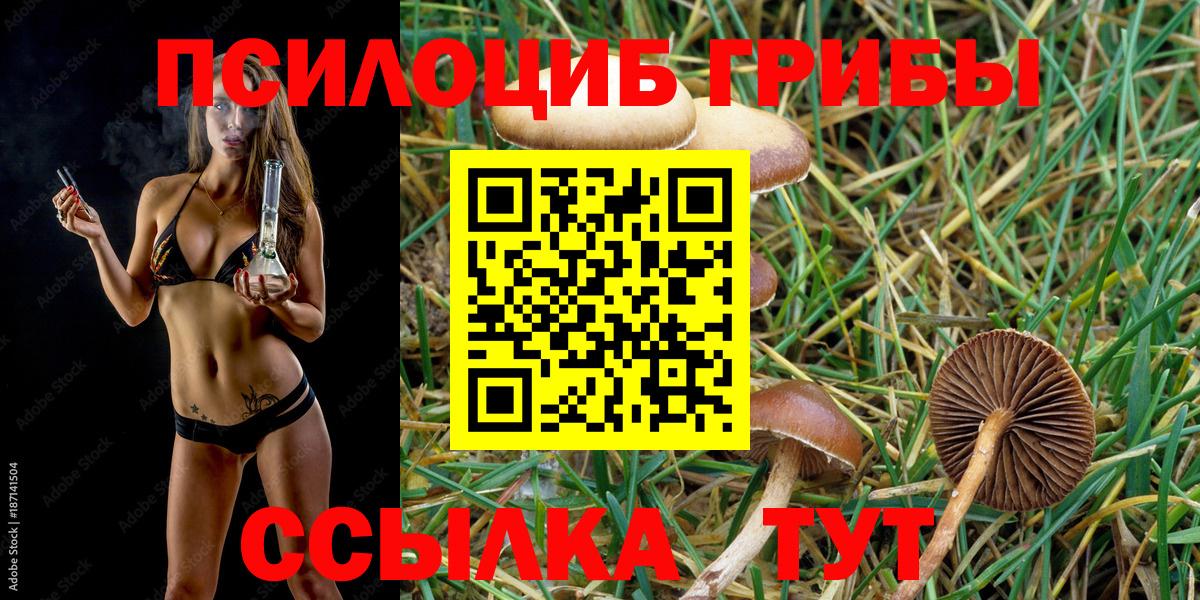 Псилоцибиновые грибы прущие грибы Куйбышев