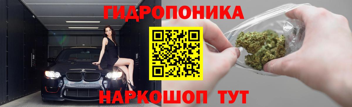 Марихуана конопля  Шишки марихуана план  Вход с VPN  Куйбышев  Бошки марихуана MAZAR 